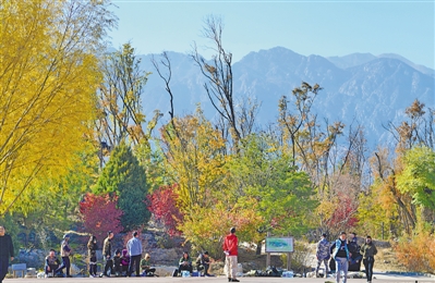 <p>空气质量日益改善，周末人们汇聚在贺兰山下观景。</p>