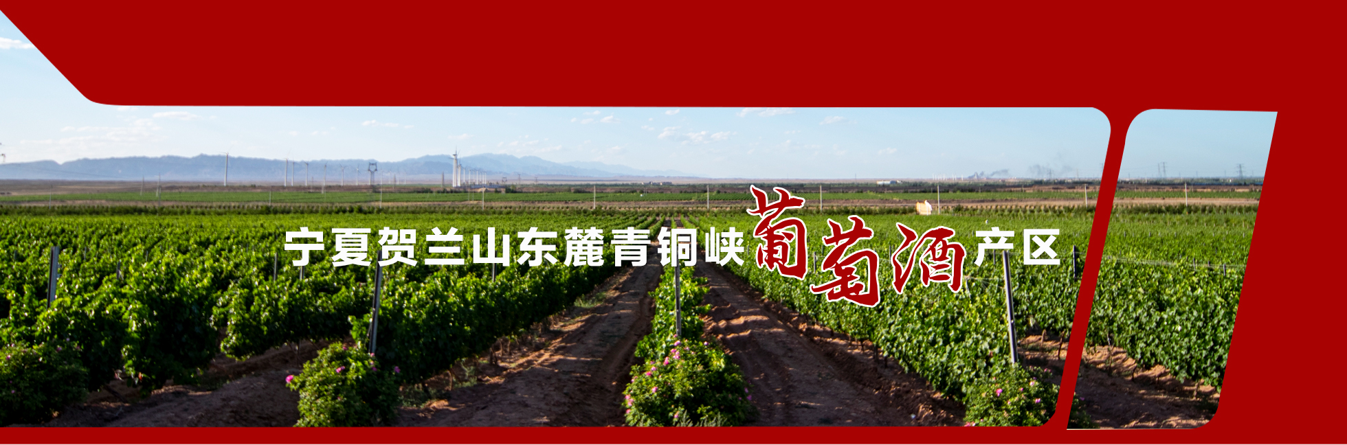 宁夏今年预计新增40家贺兰山东麓葡萄酒城市体验中心