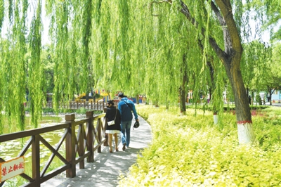 经过前一夜的雨水冲刷，沙尘逐渐散去，树木植被洗刷出原本的“颜值”。在银川中山公园内，宛如江南小景的园林景观引来不少市民驻足。　　　本报记者  马骋  摄