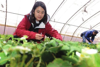 首届银川秋季农业嘉年，吸人气聚财气