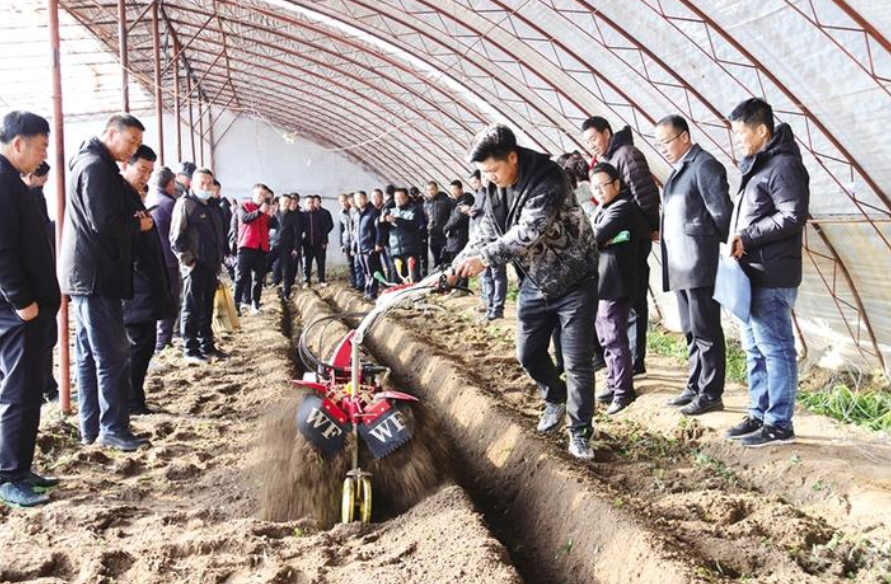 “小铁牛”助推蔬菜种植现代化