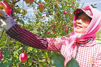 <p>　　红河村村民在园区务工，有了稳定收入。</p>