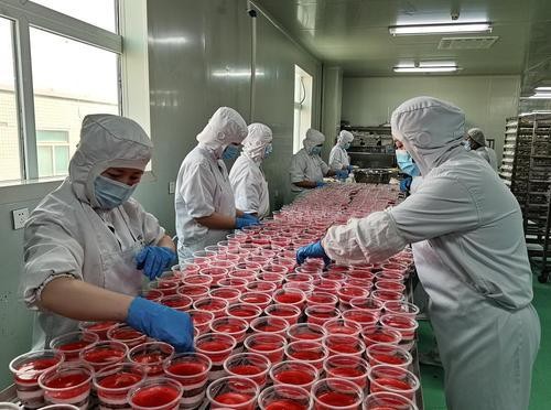 人勤春来早，贺兰企业生产复工忙！