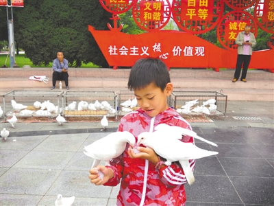 <p>　　清明小假期，一名儿童在银川市中山公园与鸽子嬉戏。</p>