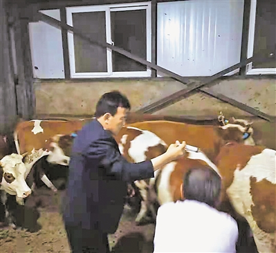 <p>　　丁建华医牛。</p><p>　　（图片由同心县委宣传部提供）</p>