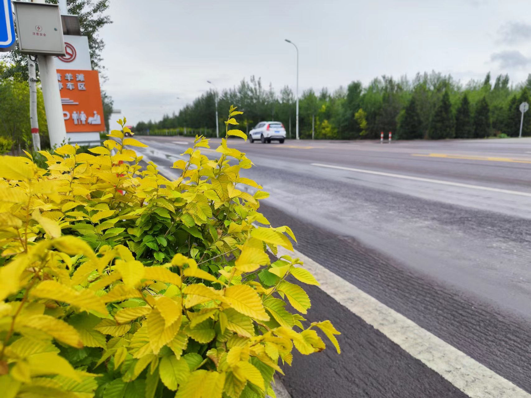 宁夏高效保障重点公路项目建设用地