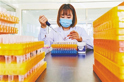 <p>　　宁夏泰金种业股份有限公司分子育种实验室工作人员进行育种工作。</p>
