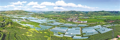 <p>　　大力发展蔬菜产业。</p>