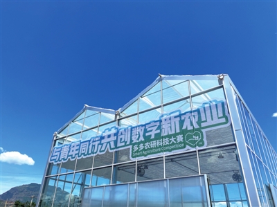     多多农研科技大赛，共创数字新农业。李东摄