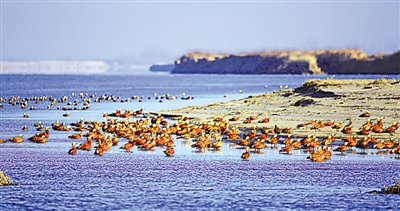 <p>　　银河湾生态旅游度假村　　陈小组</p>