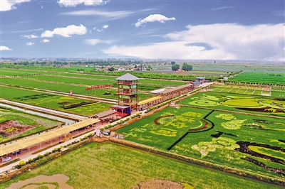 <p>　　稻渔空间</p>