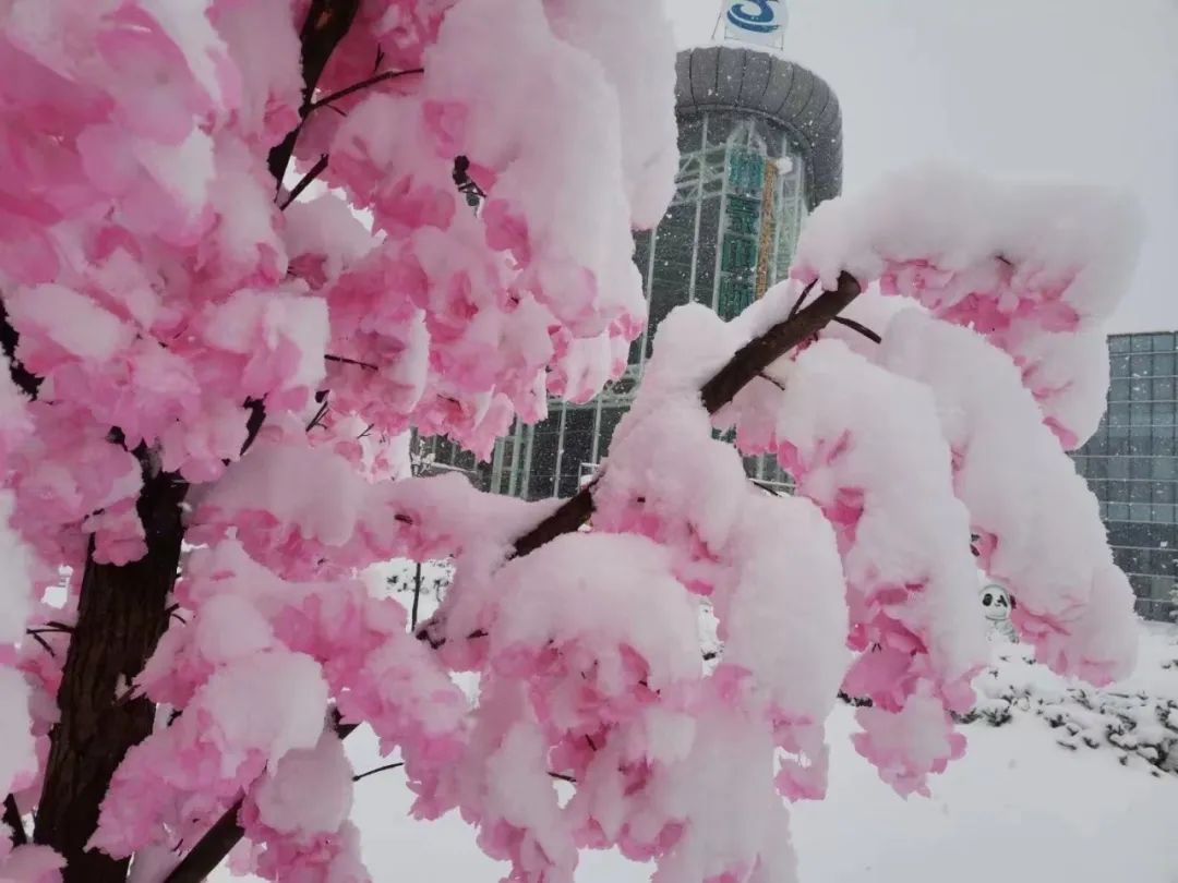 微信图片_20230209162610.jpg