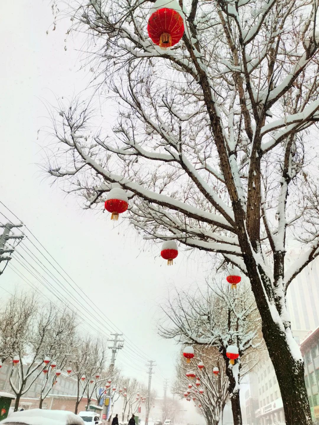 微信图片_20230209162659.jpg