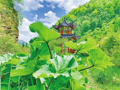 <p>　　野荷谷景区。</p>