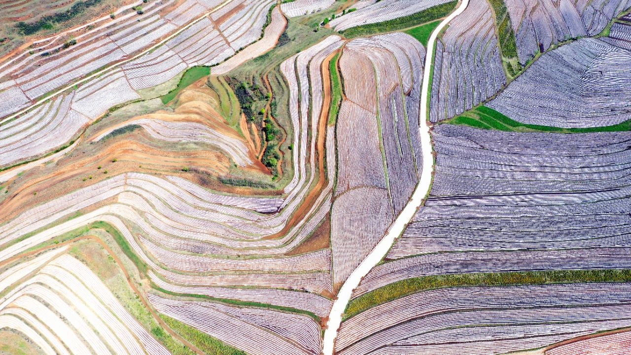 微信图片_20230516160155.jpg