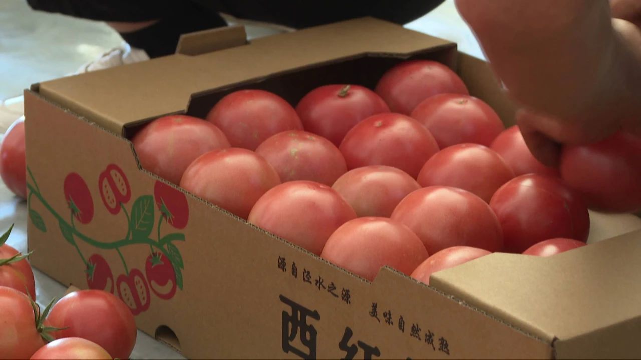 微信图片_20230816192612.jpg