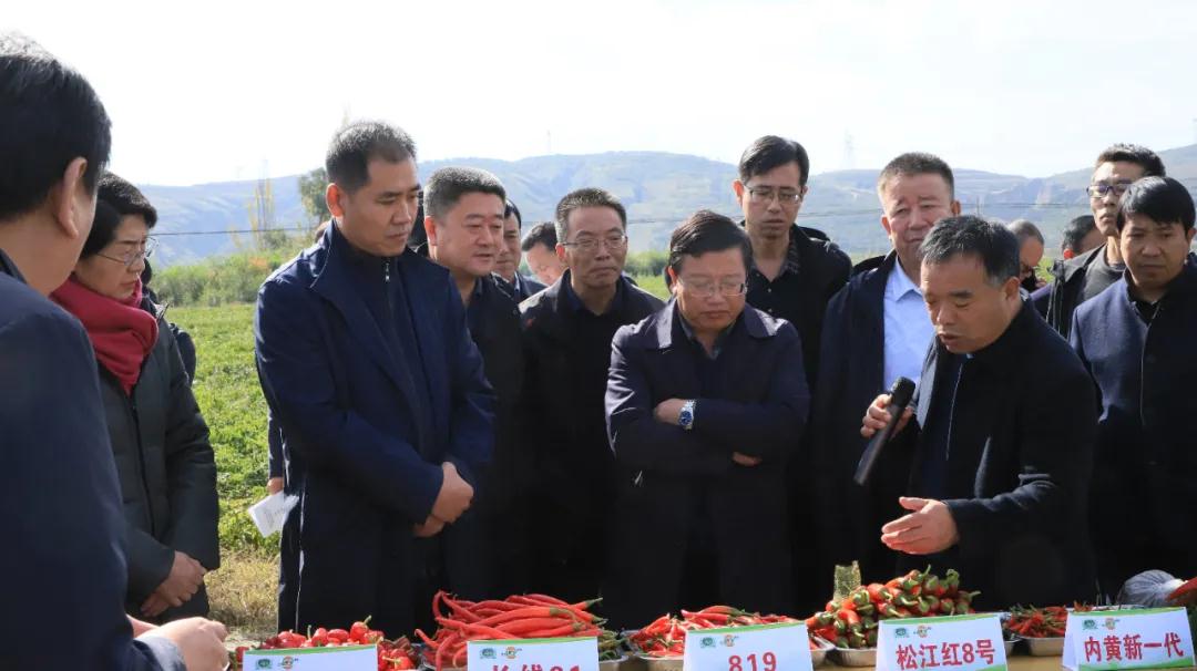 今日彭阳   固原市委常委,县委书记赵晓东带领县委,人大,政府,政协