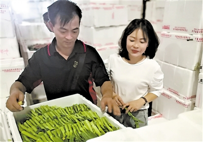 <p>　　进入一级批发市场。</p>