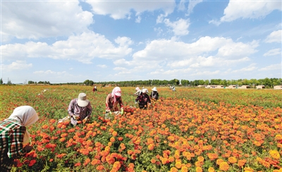 <p>　　美丽彭阳。</p>