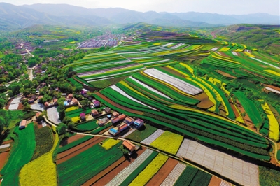 <p>　　七彩家园。</p>