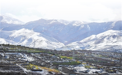 <p>　　春雪难掩绿意。</p>