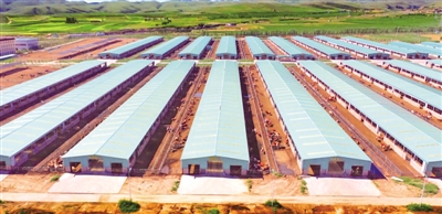 <p>　　位于曹洼乡的华润母牛育肥基地。</p>