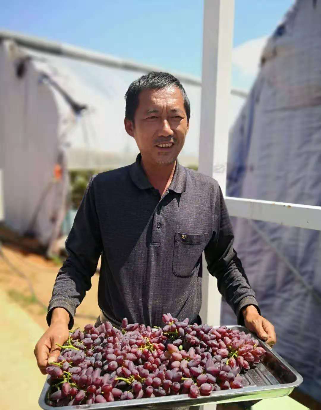 有效整治200多万亩沙地，盐池“点沙成绿”实现生态逆转！