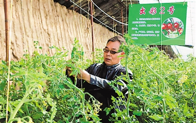 用“土政策”留住人才