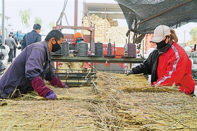 <p>在灵武市郝家桥镇王家嘴村的草编园区里，工人们在编织草帘。</p>