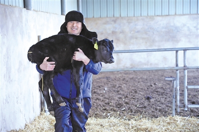 <p>　　宁夏犇旺生态农业有限公司技术骨干姜武照顾出生不到1周的牛犊。</p>