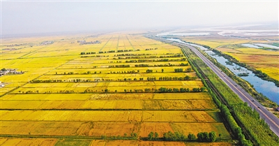 <p>　　万亩富硒水稻基地</p>