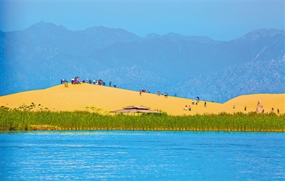 <p>　　金沙碧水翠苇映贺兰</p>