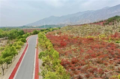 看万山红遍，层林尽染。