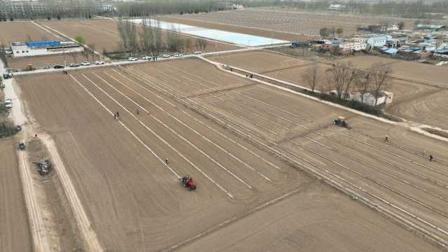 青铜峡市“强科技”助推制种玉米种植升级