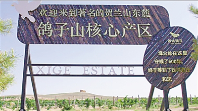 <p>　　鸽子山核心产区</p>