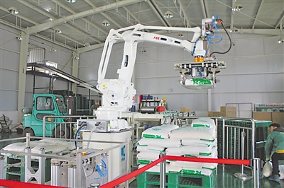 <p>　　现代化自动机械臂正将生产线上一袋袋大米抓取转运。</p>