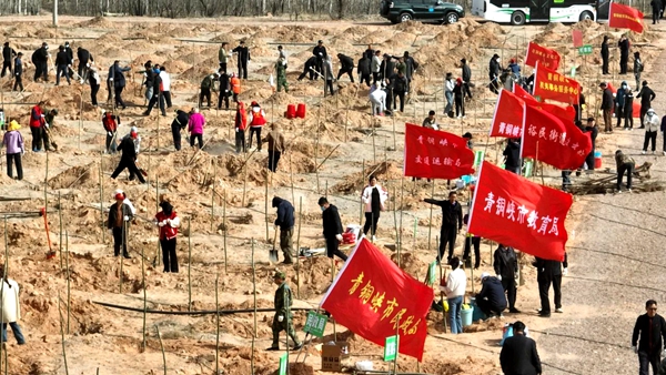 吴忠市开展2025年春季义务植树活动