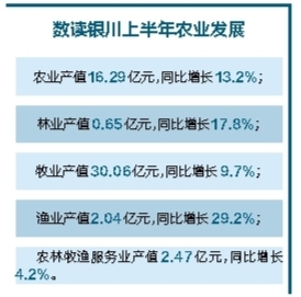 上半年银川市农林牧渔业实现总产值51.51亿元