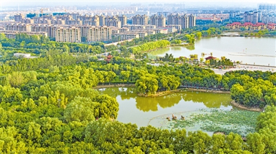 <p>　　美丽的贺兰县城。</p>