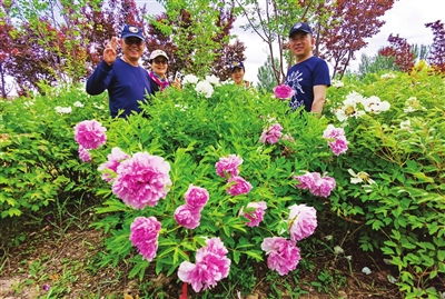 银川“近郊游”“微度假”成休闲新时尚