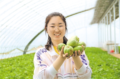 <p>　　吴婧拿着村民种植的暖棚芝麻香瓜。</p><p>　　（图片由受访者提供）</p>