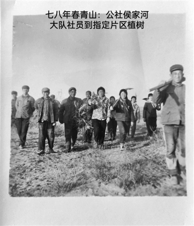 1978年春，青山乡侯家河大队社员到指定片区植树。