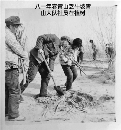 1980年春，大队社员在乏牛坡月儿泉参加植树。