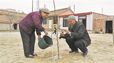 <p>　　硝沟村杨生如夫妇用自来水小心地浇树苗。</p>