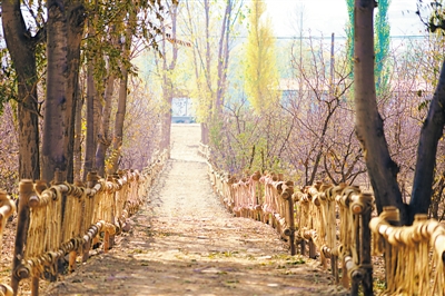 <p>　　中卫市沙坡头区迎水桥镇鸣钟村风情。</p>