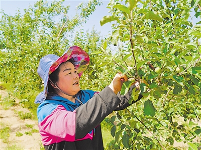     林下经济为群众带来实实在在的收益。