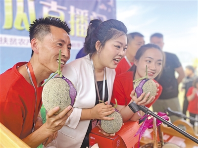 <p>　　网络直播带货促农增收。（资料图片）</p>