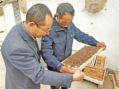 <p>技术员指导蜂农操作。</p>