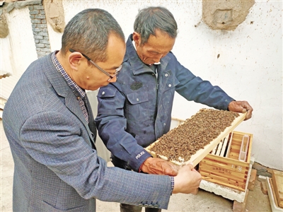 <p>　　技术员指导蜂农操作。</p>