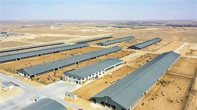 <p>　　现代养殖基地强势崛起。</p>